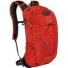Osprey Syncro 12