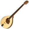 VGS 8 Bouzouki