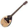 VGS 8 Bouzouki