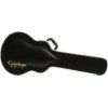Epiphone Case for Guitar