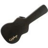 Epiphone Case for Guitar