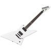 ESP LTD