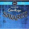Savarez