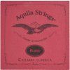 Aquila