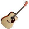 Cort MR500E