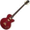 Epiphone Allen Woody