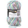 Schachenmayr Bravo Color Jacquard