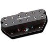 Seymour Duncan Black