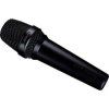 LEWITT MTP 250 Vocal Dynamic Microphone