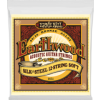 Ernie Ball Earthwood Silk & Steel