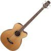 Takamine GB30CE