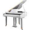 Pearl River GP 1100 Digital Piano
