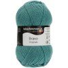 Schachenmayr Bravo Originals