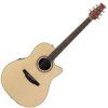 Ovation Applause Mid Cutaway