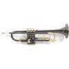 Roy Benson Trumpet