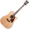 D'Angelico Premier Bowery