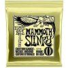 Ernie Ball Slinky
