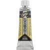 Rembrandt Watercolour Paint 10 ml Chameleon