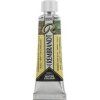 Rembrandt Watercolour Paint 10 ml Chameleon