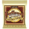 Ernie Ball Earthwood