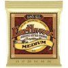 Ernie Ball Earthwood