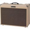 Roland Blues Cube Artist