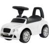 Buddy Toys BPC