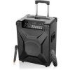 Fenda F&D Battery powered PA system
