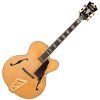 D'Angelico Excel EXL-1