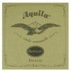 Aquila BioNylon