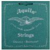 Aquila BioNylon