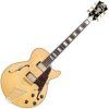 D'Angelico Excel SS Stairstep