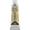 Rembrandt Watercolour Paint 10 ml