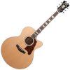 D'Angelico Premier