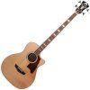 D'Angelico Premier