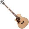D'Angelico Premier