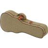 Ibanez Case for