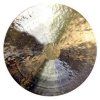Terre Feng Gong
