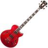 D'Angelico Excel