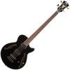 D'Angelico Excel