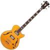 D'Angelico Excel