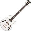 D'Angelico Excel