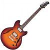 Fret King Black Label Elise
