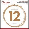 Fender Phosphor Bronze