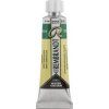 Rembrandt Watercolour Paint 10 ml