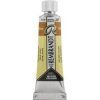 Rembrandt Watercolour Paint 10 ml