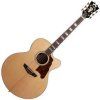 D'Angelico Excel Madison