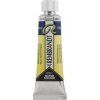 Rembrandt Watercolour Paint 10 ml