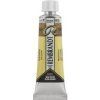 Rembrandt Watercolour Paint 10 ml