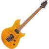 EVH Wolfgang WG Standard QM